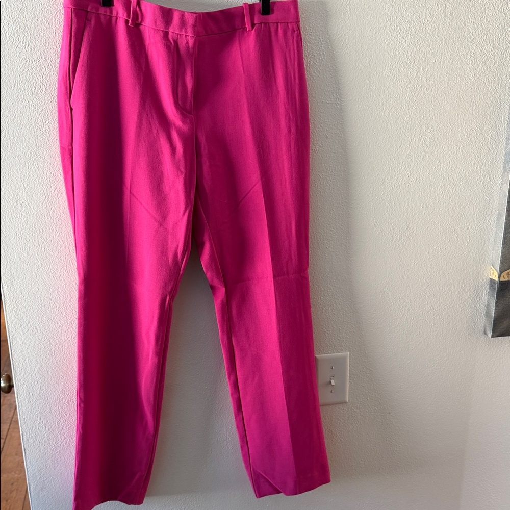 Ann Taylor Pink Women's Trousers